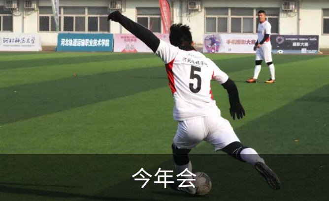今年会介绍